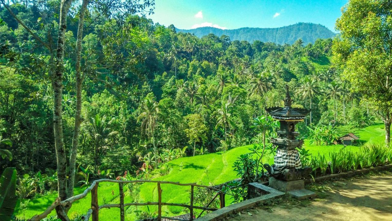 Buda's Homestay Lemukih Buleleng  Bagian luar foto