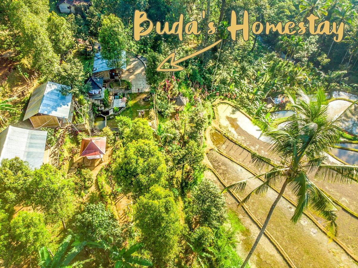 Buda's Homestay Lemukih Buleleng  Bagian luar foto