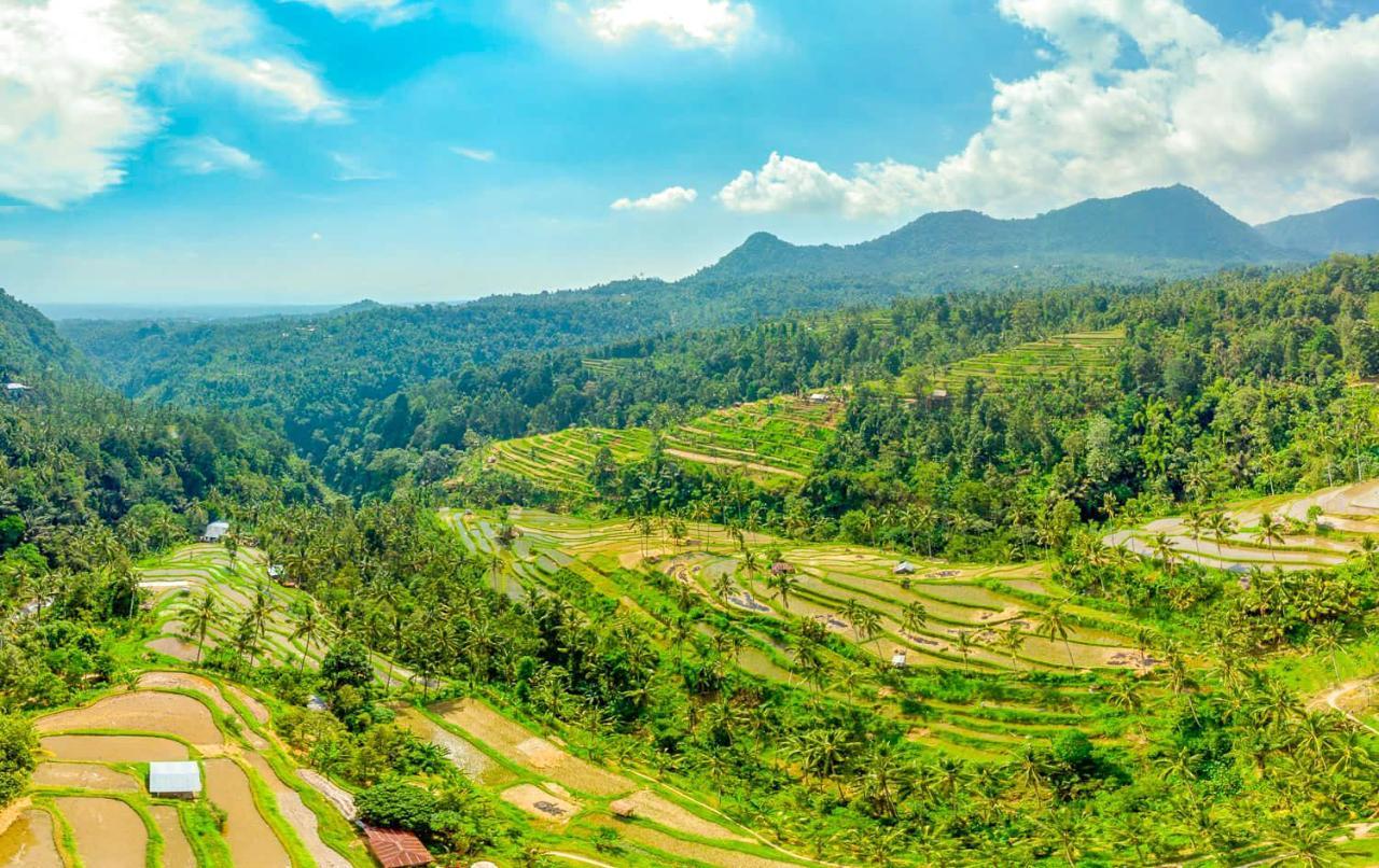 Buda's Homestay Lemukih Buleleng  Bagian luar foto