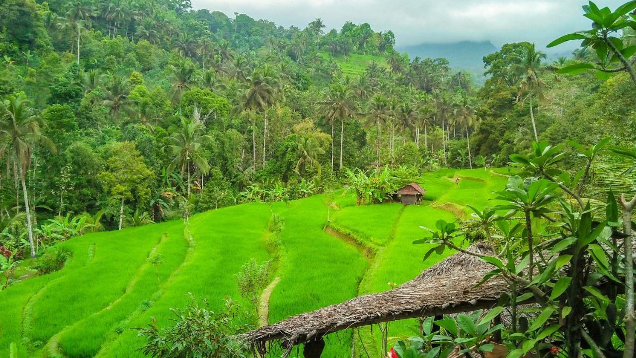 Buda's Homestay Lemukih Buleleng  Bagian luar foto