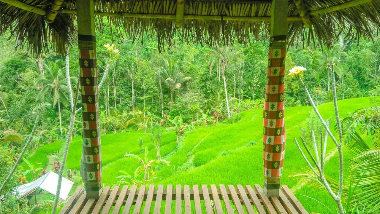 Buda's Homestay Lemukih Buleleng  Bagian luar foto