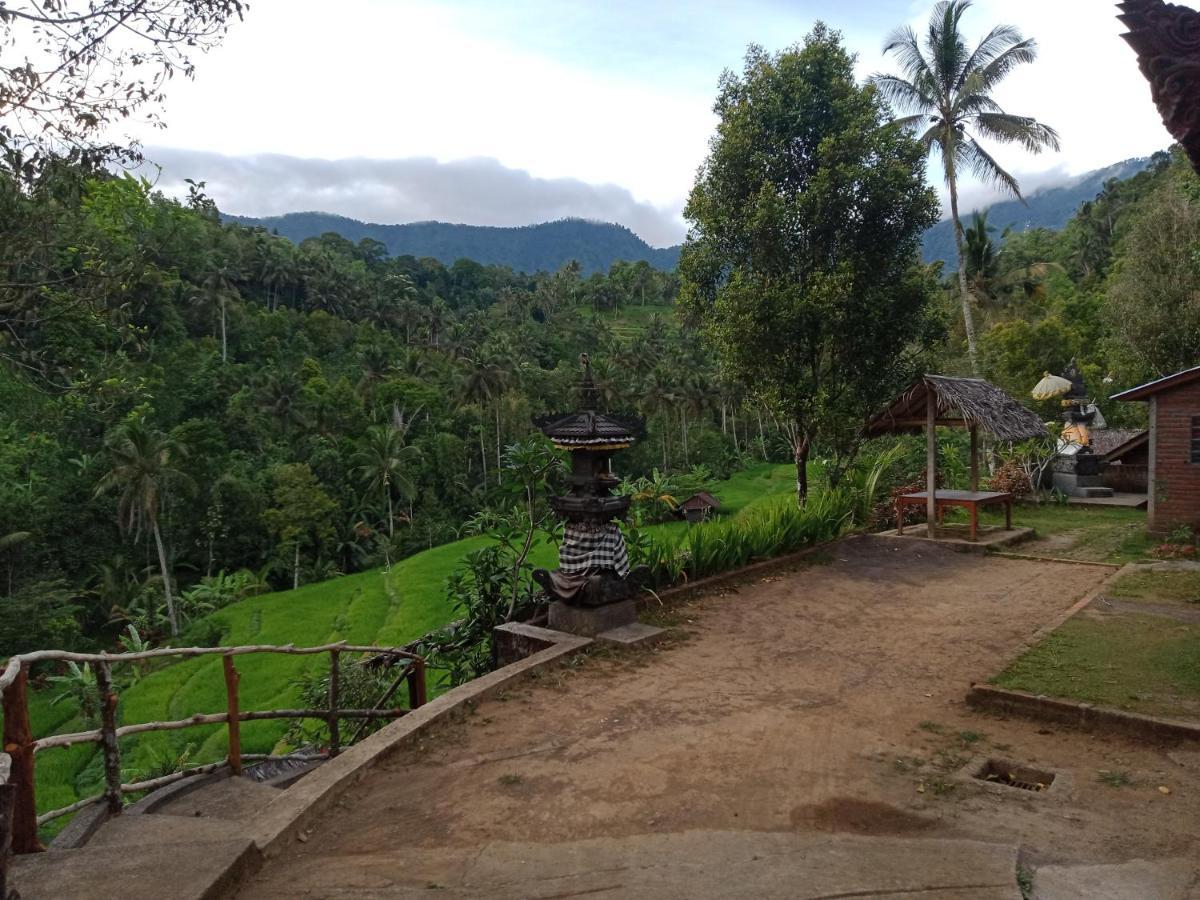 Buda's Homestay Lemukih Buleleng  Bagian luar foto