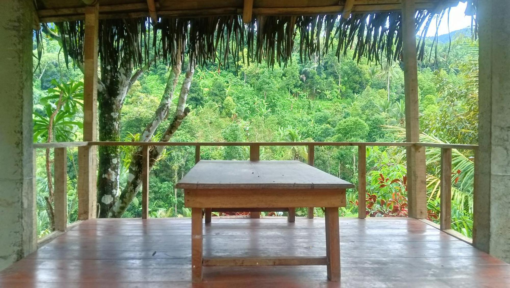 Buda's Homestay Lemukih Buleleng  Bagian luar foto