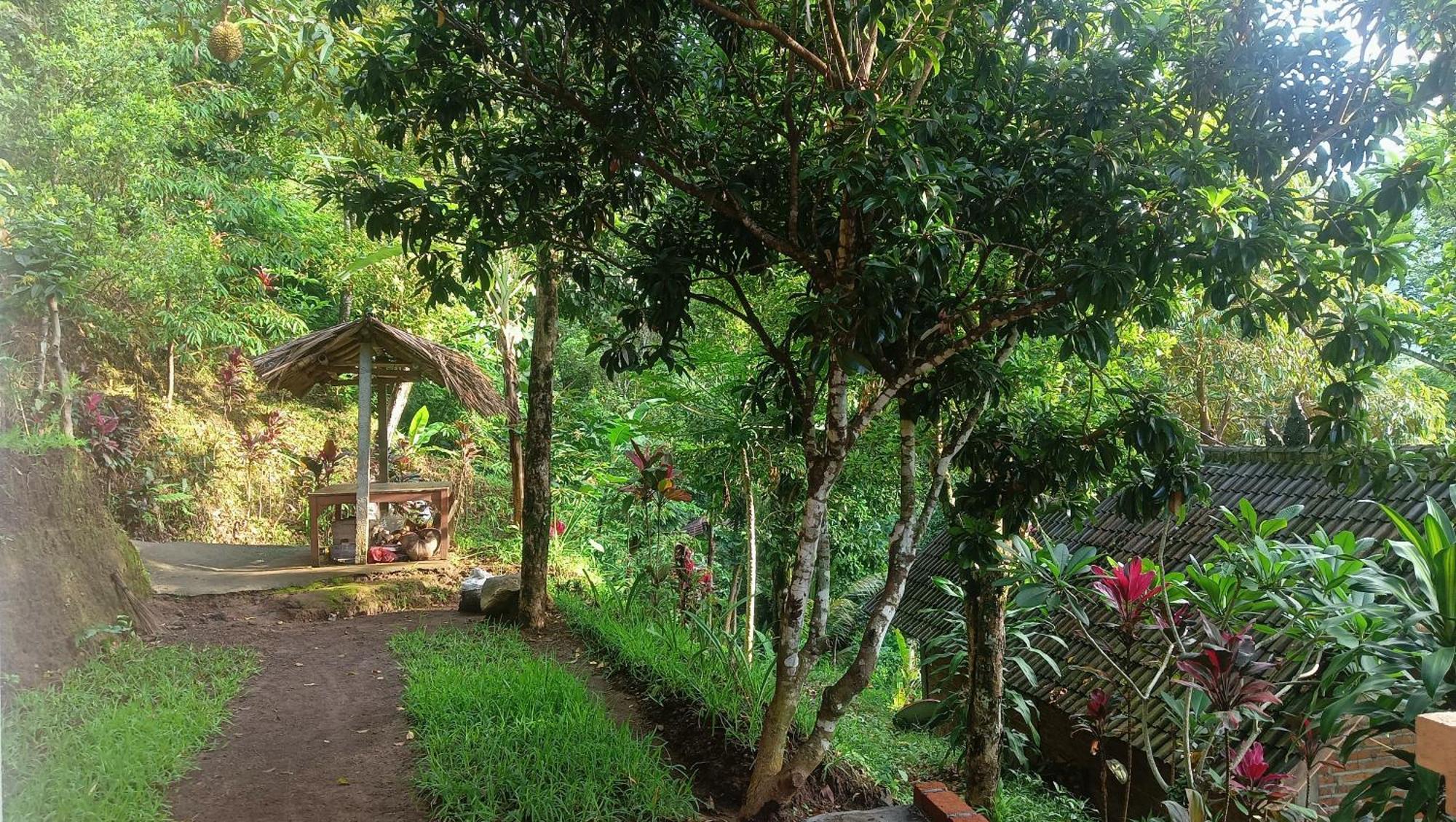 Buda's Homestay Lemukih Buleleng  Bagian luar foto